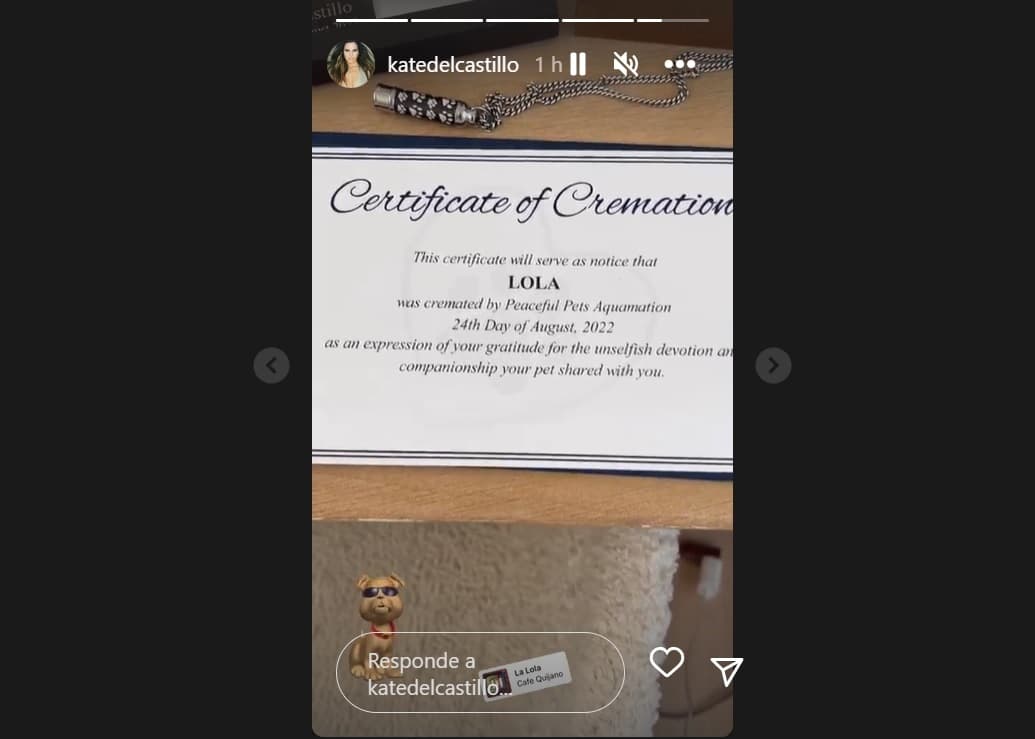 Certificado de Lola
