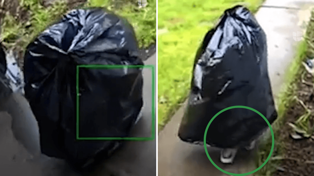 Ladrón se disfraza de bolsa de basura para robar paquete de su vecino.