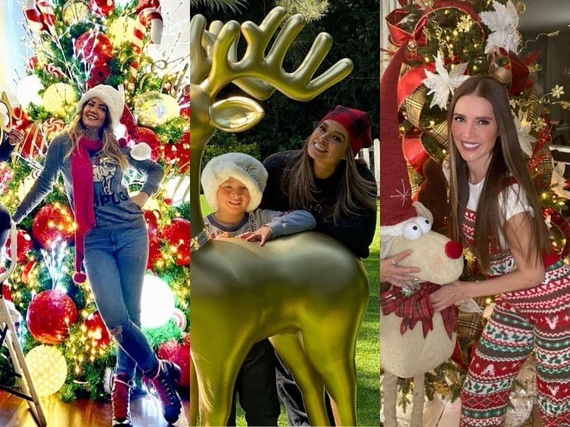 El espíritu navideño ha comenzado a invadir a famosos como Andrea Legarreta, Galilea Montijo y Marlene Favela, quienes han presumido en redes sociales sus espectaculares árboles de Navidad, así como la decoración de su hogar. ¡Mira las fotos!
