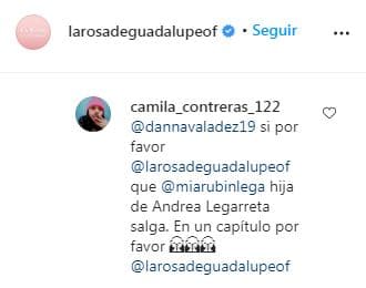 Comentario a La Rosa de Guadalupe