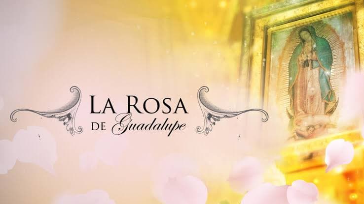 La Rosa de Guadalupe: 4 capítulos donde no hubo 'airecito' y aquí te decimos por qué