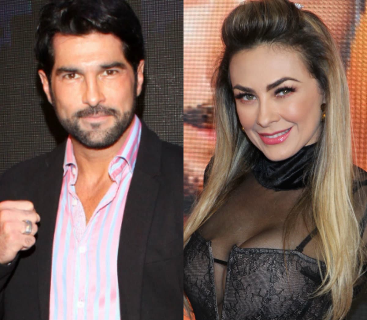 Aracely Arámbula anuncia que tiene novio y así reacciona su expareja, Arturo Carmona