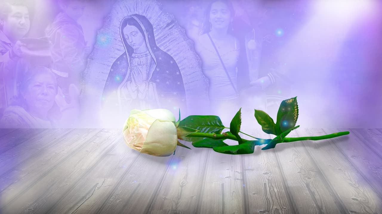 Tenemos ganadora: Conoce a la fan de La Rosa de Guadalupe que cumplirá su sueño de aparecer en la TV