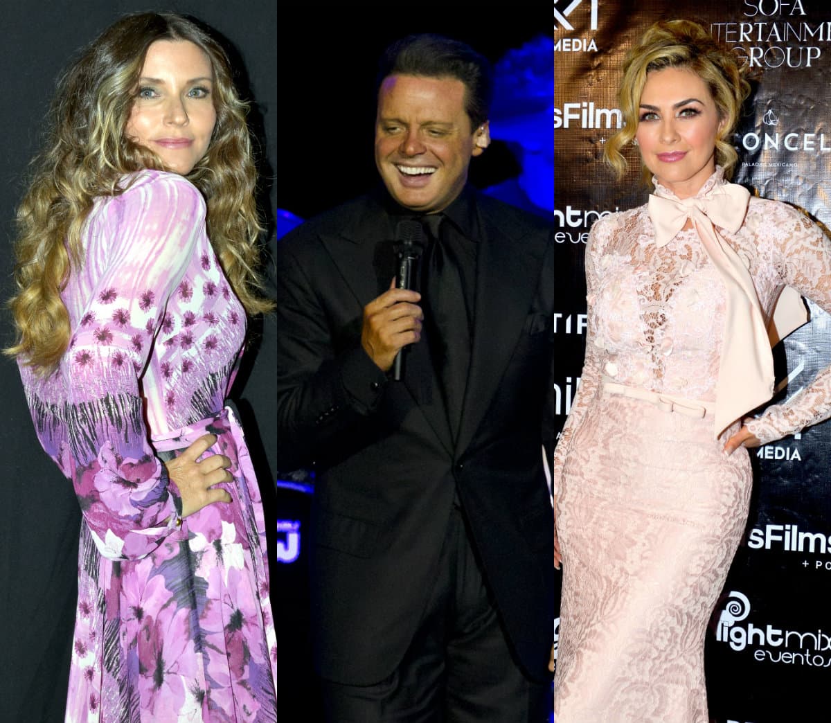 Sensuales mujeres que se robaron el corazón de Luis Miguel