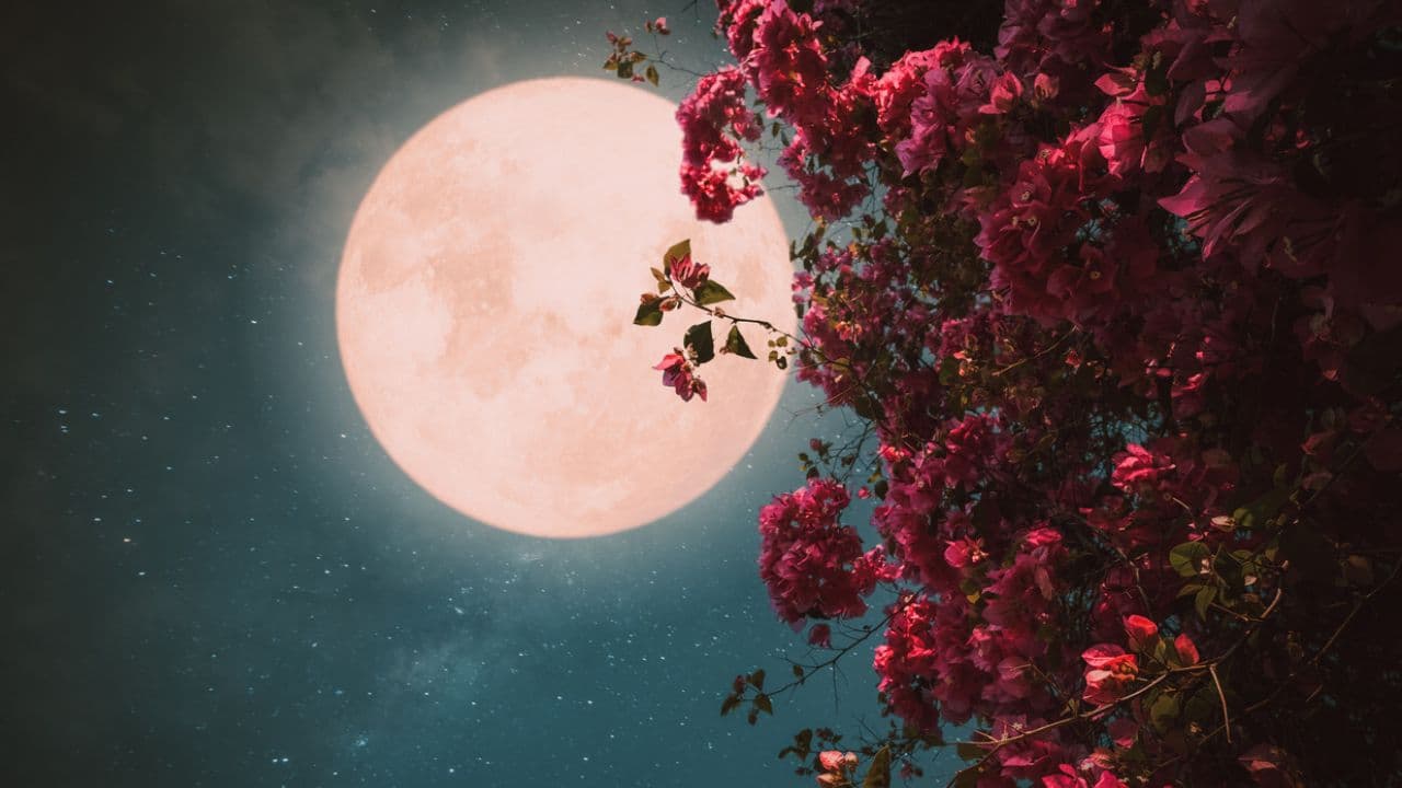 Luna rosa de abril 2023: ¿cuándo y dónde verla?