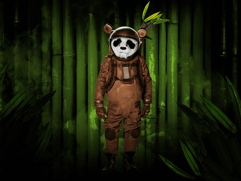 Le dicen loco por vivir a su manera pero él cree que los demás son los que deberían de estar encerrados en un psiquiátrico. Le gusta su soledad, la disfruta y evita convivir con los demás pandas.