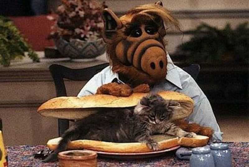 'ALF' trató de comerse a 'Suertudo' en varias ocasiones