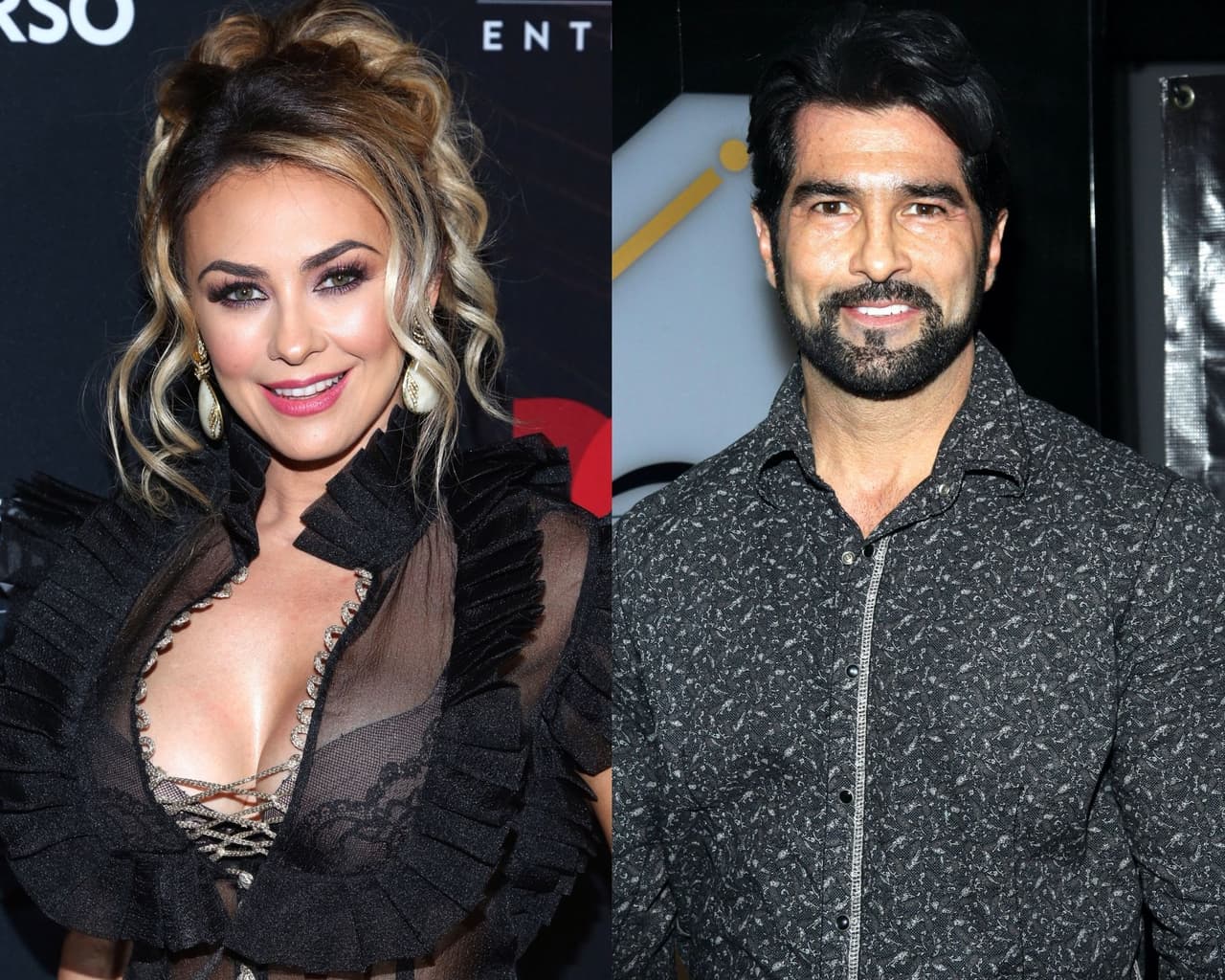 Aracely Arámbula confiesa cómo fue realmente Arturo Carmona con sus hijos y por qué negó su romance