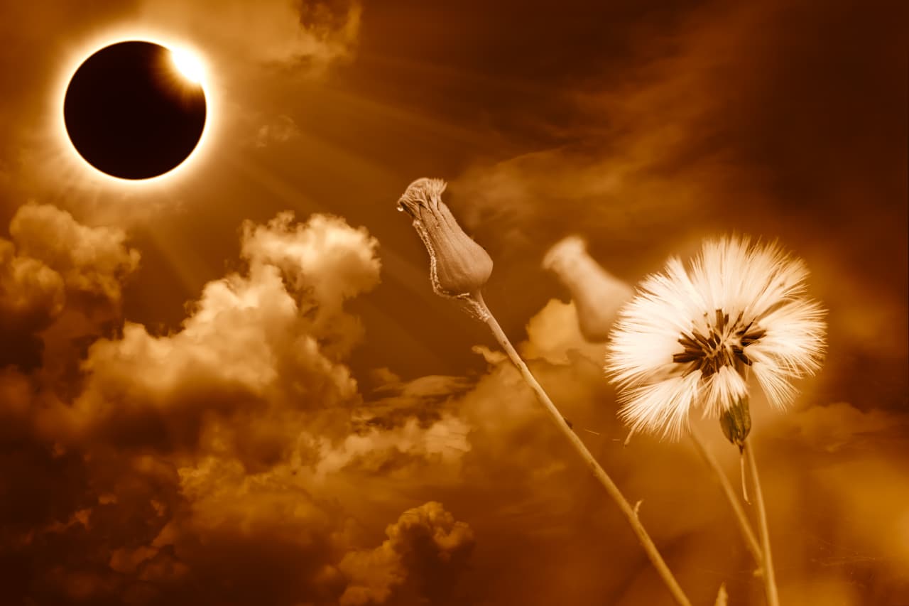 Así influirá la trayectoria del próximo eclipse solar en tu signo zodiacal