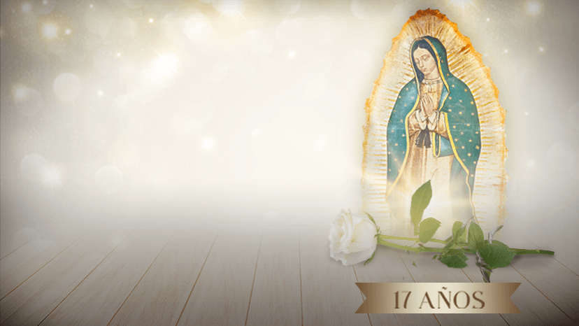 La Rosa de Guadalupe