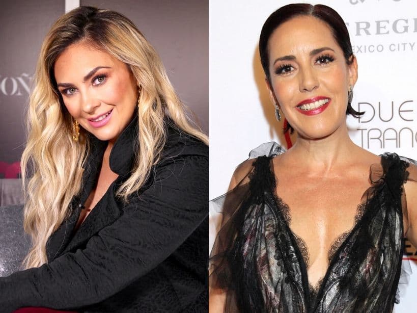 Como pocas veces, Aracely Arámbula muestra su admiración por Stephanie Salas: “Es una gran mamá”