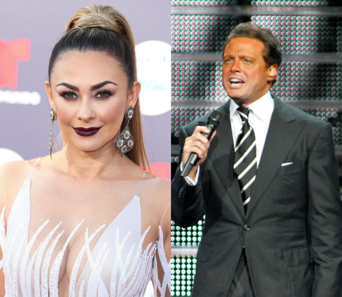 Aracely Arámbula reacciona ante los abucheos que recibió Luis Miguel