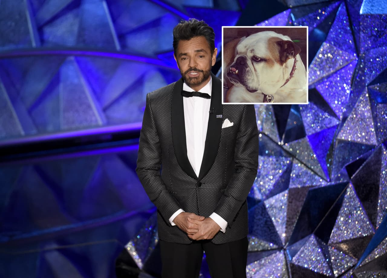 Eugenio Derbez dedica emotivo mensaje a su perrita Fiona en su cumpleaños