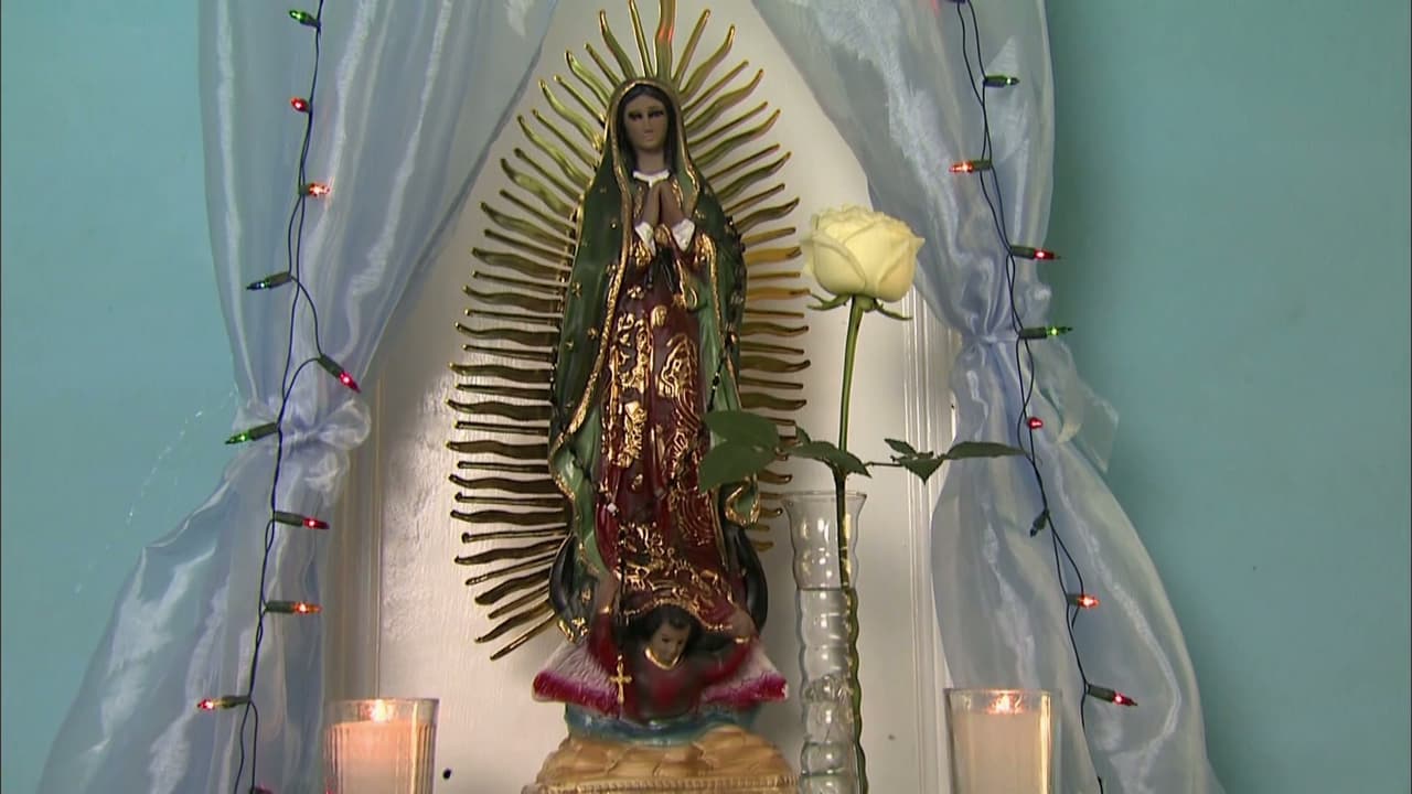 MARATÓN: Revive tus capítulos de La Rosa de Guadalupe