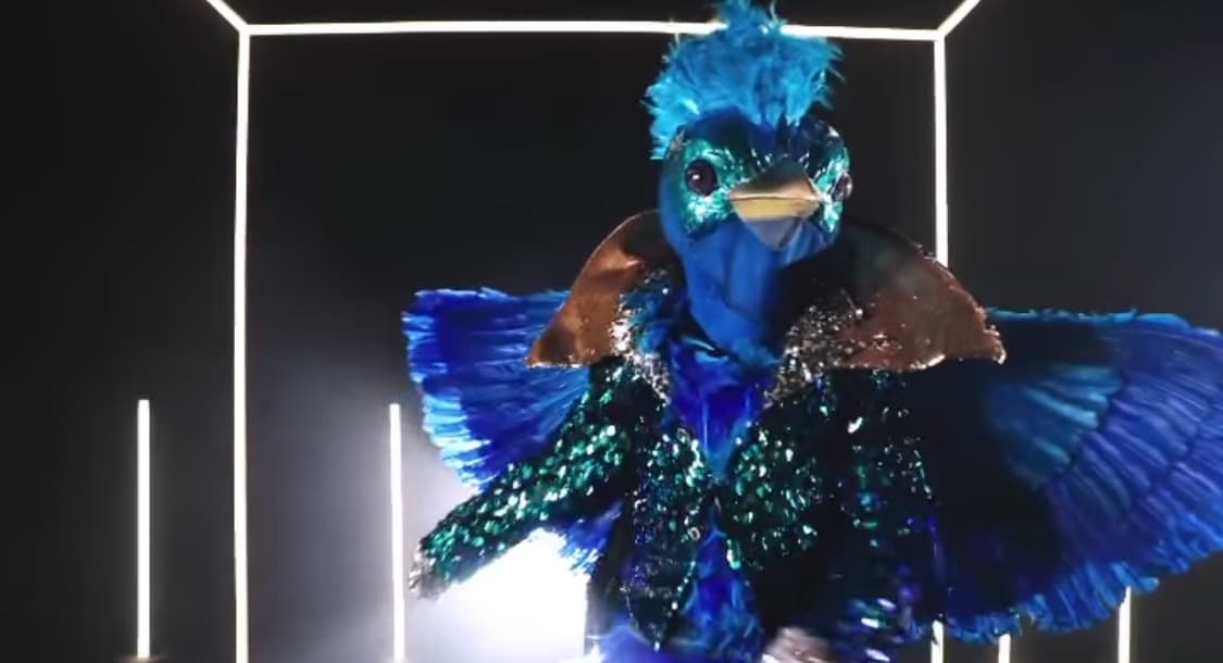 Con brillantes colores, Quetzal anuncia su llegada a ¿Quién es la Máscara 2020?