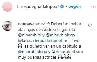 Comentario a La Rosa de Guadalupe
